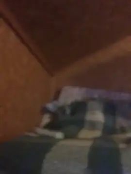 Ldnick69 现场XXX聊天