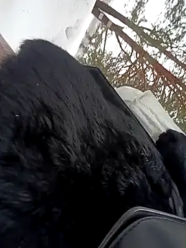 Chatroom XXX en direct de lleisa