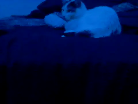 Silencio26's Webcam Show