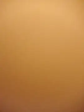 Noor-09- Show Webcam