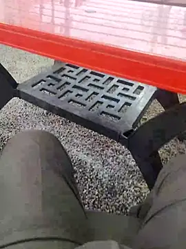 Show webcam de 3D-telugu