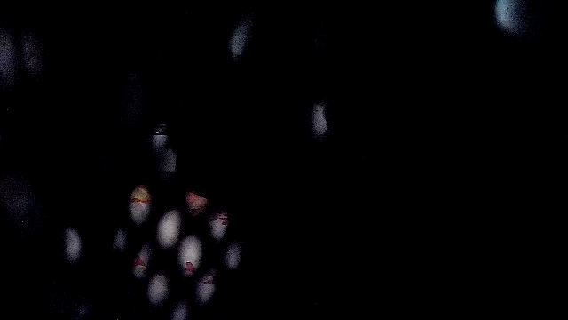 RawRyder8 Live XXX-chat