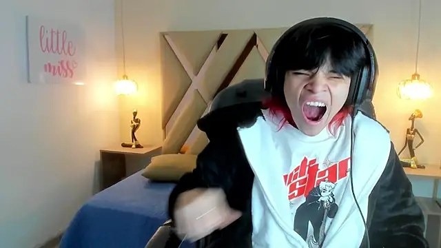 Sylasfrost Show Webcam