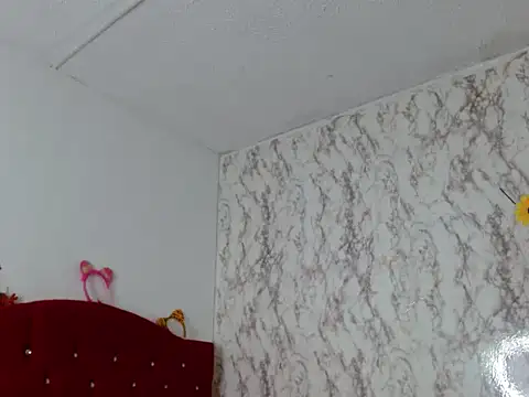 Ailanys_Millern Webbikameraesitys