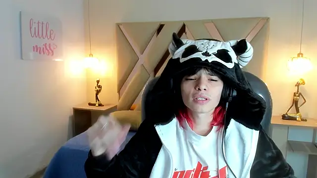 Sylasfrostn Webbikameraesitys