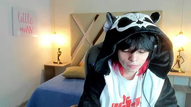 Sylasfrost Show Webcam