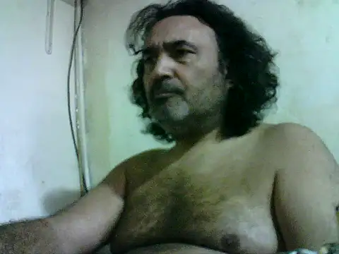 Show modela enginbasar na web-kameri