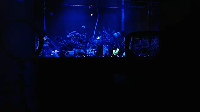 Онлайн чат XXX EspanolVato