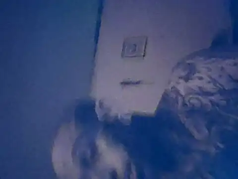 Онлайн чат XXX tattooed4you