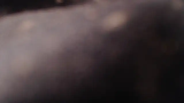 Chat XXX ao vivo de 1BECHA1