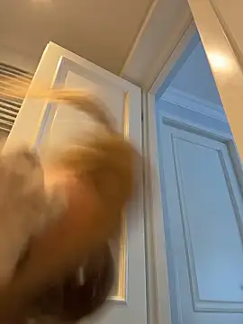 Chat XXX ao vivo de curvyflawless