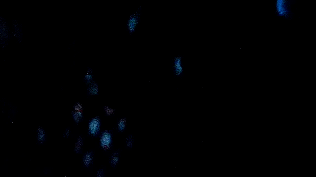 Chat XXX en directo de RawRyder8