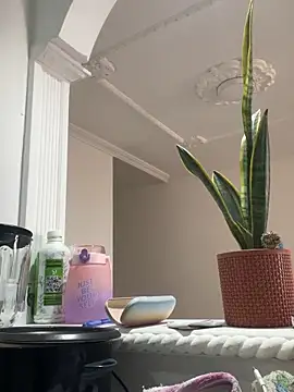 star_anastasia Live XXX Chat