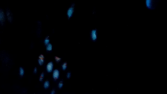 RawRyder8 – Naživo XXX chat