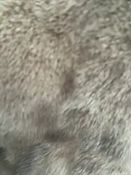 Show modela Marina- na web-kameri