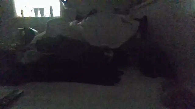 VersGuy24's Webcam Show