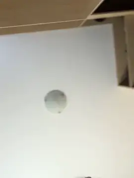 Steffi_SnowbunnyのライブXXXチャット