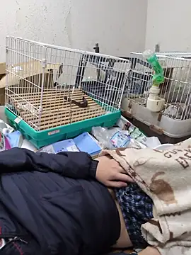 youheikun 网络视讯表演