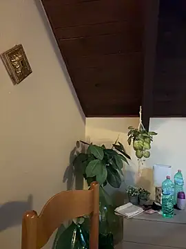 SashaLiciosa_ 라이브 XXX 채팅