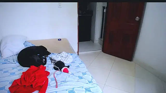 Chat +18 de Hanny_9 ao vivo