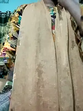 Sumi-royn Webbikameraesitys