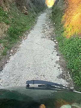 Amani_thewolf – Kamerová šou