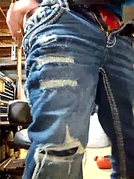 Show webcam de Sampzon