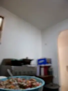 Chat XXX en directo de Colibri_xxx