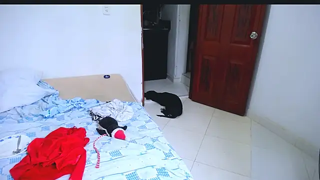 Chat XXX ao vivo de Hanny_9