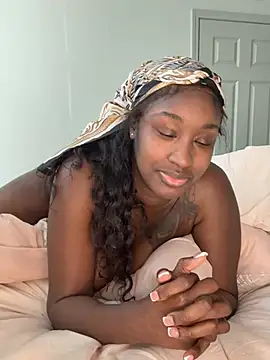 Show webcam de ToyaThick