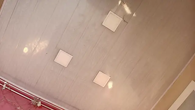 Show Webcam de Meganlevine