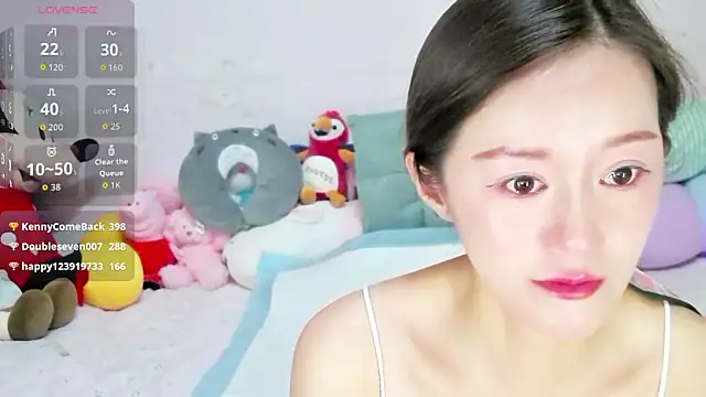 Show modela baozi-DDET na web-kameri