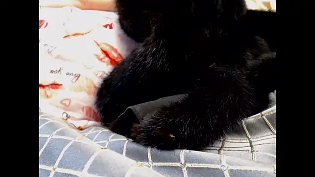 Вебкам-шоу Anabelldestiny