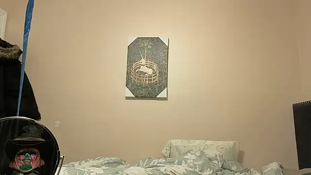 Show webcam de hailzeffn