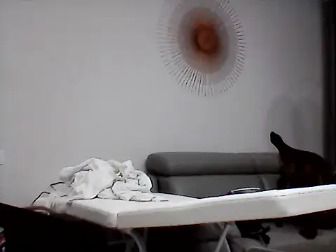 แชท XXX สดของ Morivane