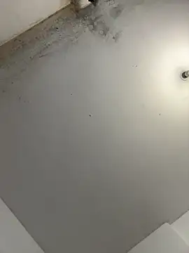 Вебкам-шоу Thisispikachu