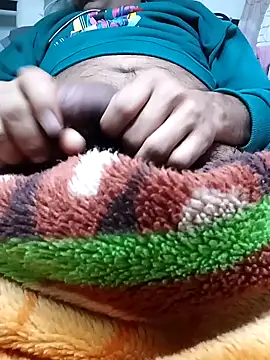 Expresshorse Webcam-Show