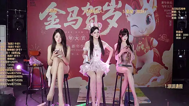 A848-01 – webcam-show