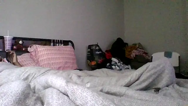 dezzidavill Webcam-Show