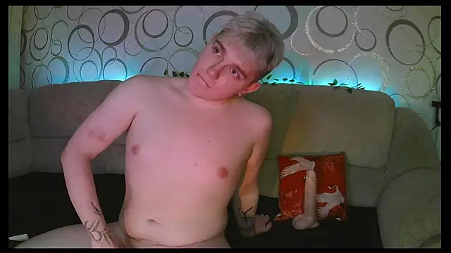 โชว์เว็บแคมของ heatctrl