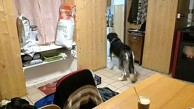 XXX chat uživo modela VanessaDoyle