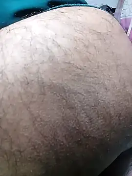 Expresshorse Show Webcam