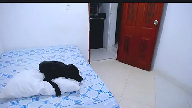 Chat XXX en directo de Hanny_9