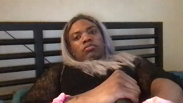 Show Webcam de frenchiego