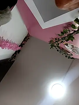 Asuna_yuuky Adlı Modelin Canlı XXX Sohbeti