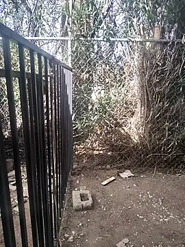 โชว์เว็บแคมของ moneytalk516