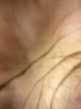 Pertunjukan Kamera Web Trans_fairy