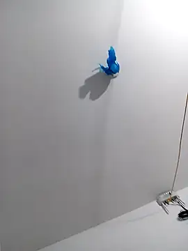 Вебкам-шоу flaco302025