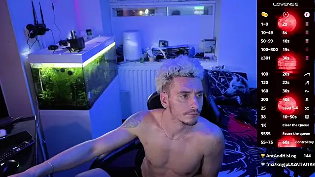 Rayzel_White 라이브 XXX 채팅