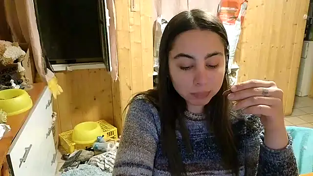 VanessaDoyle Live XXX-Chat